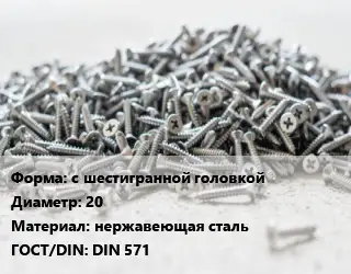 Шуруп с шестигранной головкой 20 нержавеющая сталь ГОСТ: DIN 571